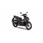 New Bikes