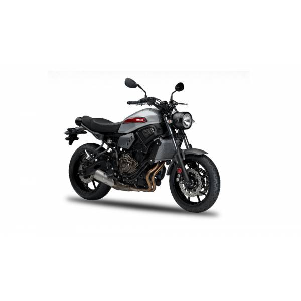 New Bikes