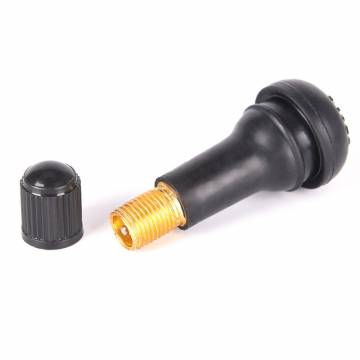 Tyre Valve